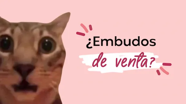 Gatito preguntándose que son los embudos de venta